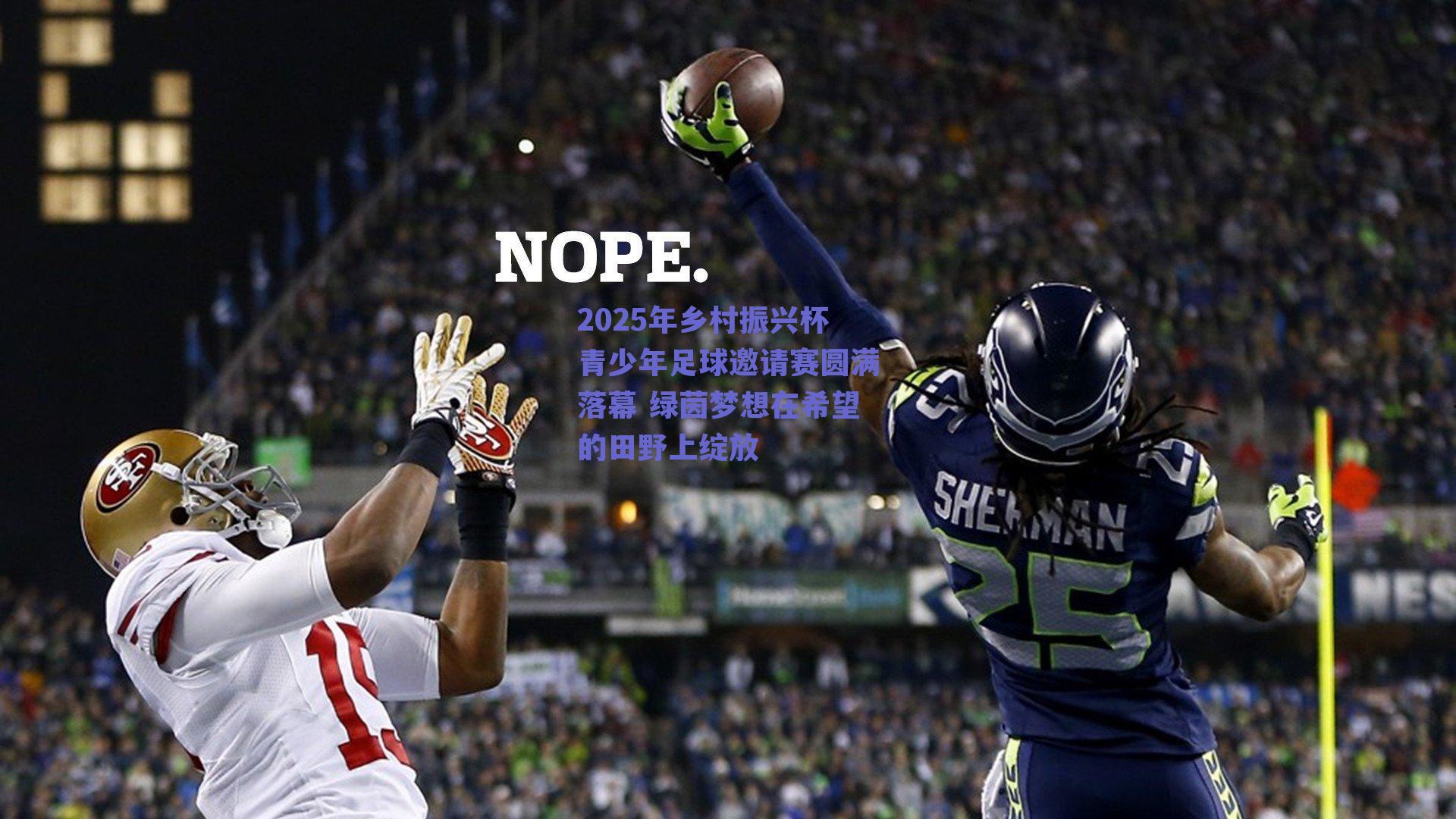 2025年乡村振兴杯青少年足球邀请赛圆满落幕 绿茵梦想在希望的田野上绽放