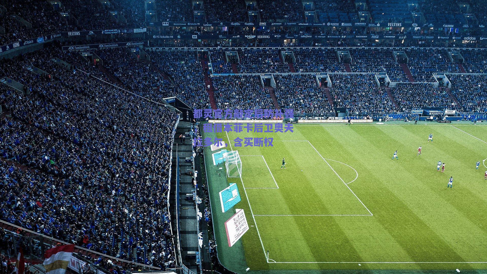 【体育赛事直播】都灵官方敲定后防补强，租借本菲卡后卫奥夫拉多尔，含买断权